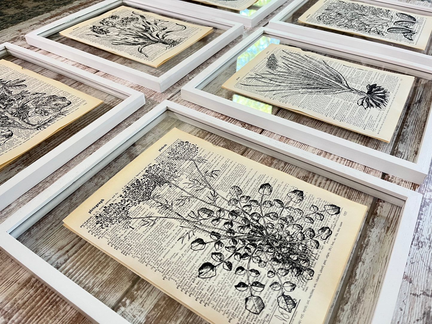 Herb Garden Vintage Dictionary Collage Prints, Set of 6