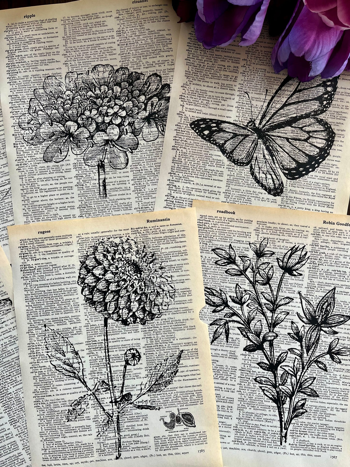 Botanical Vintage Dictionary Prints, Set of 6