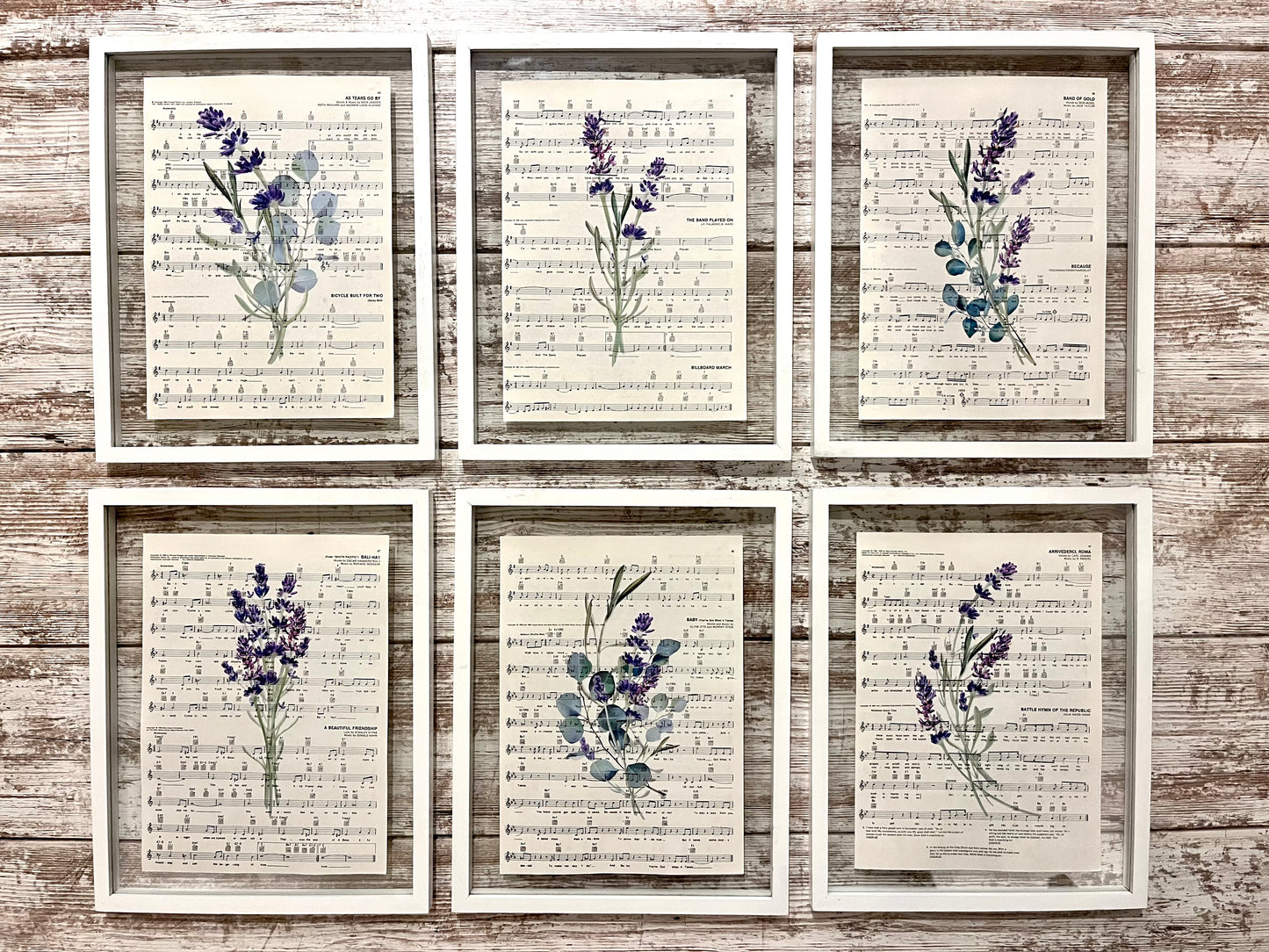 Lavender Eucalyptus Sheet Music Prints, Set of 6