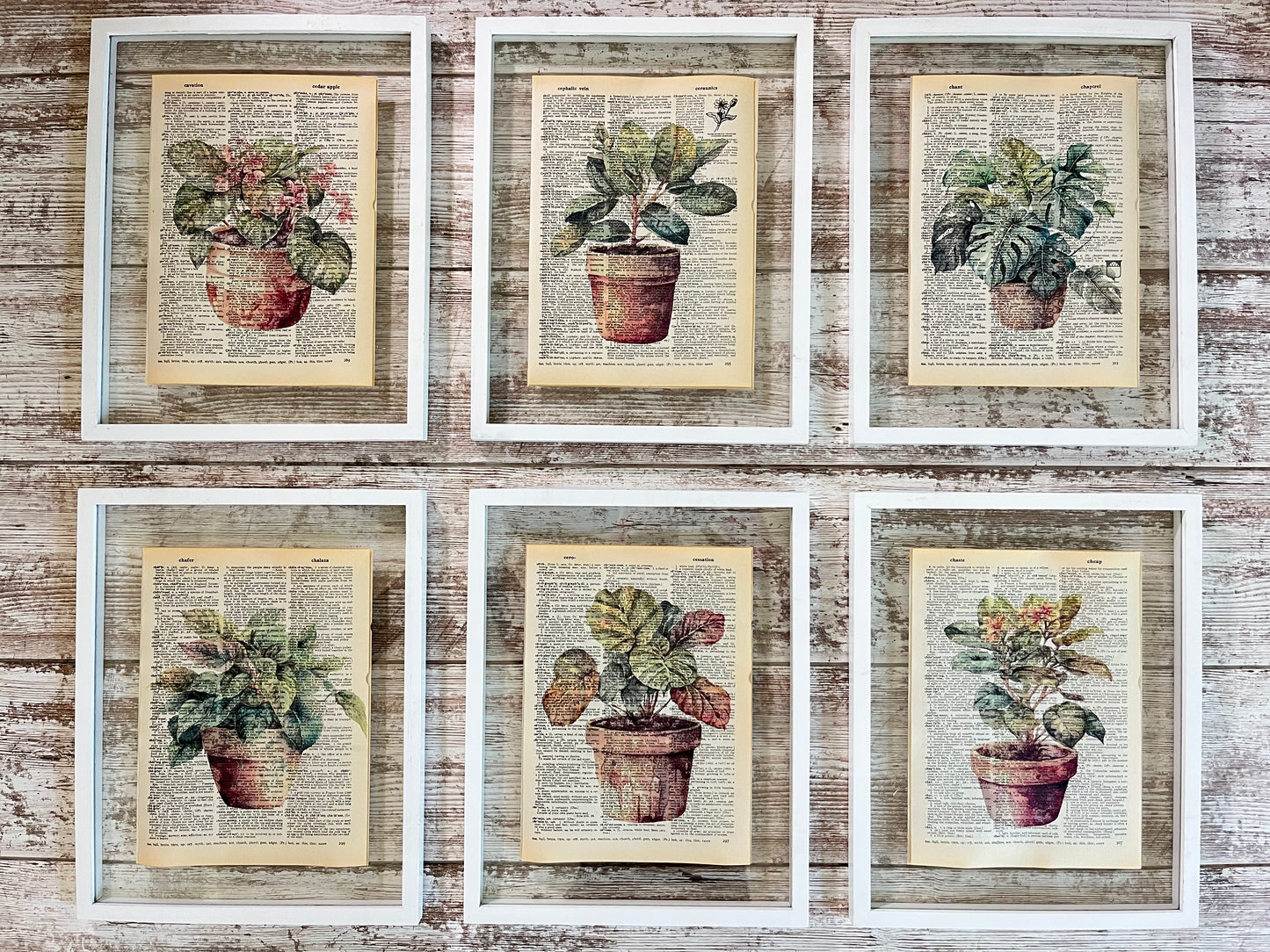 House Plant Vintage Dictionary Collage Prints, Set of 6