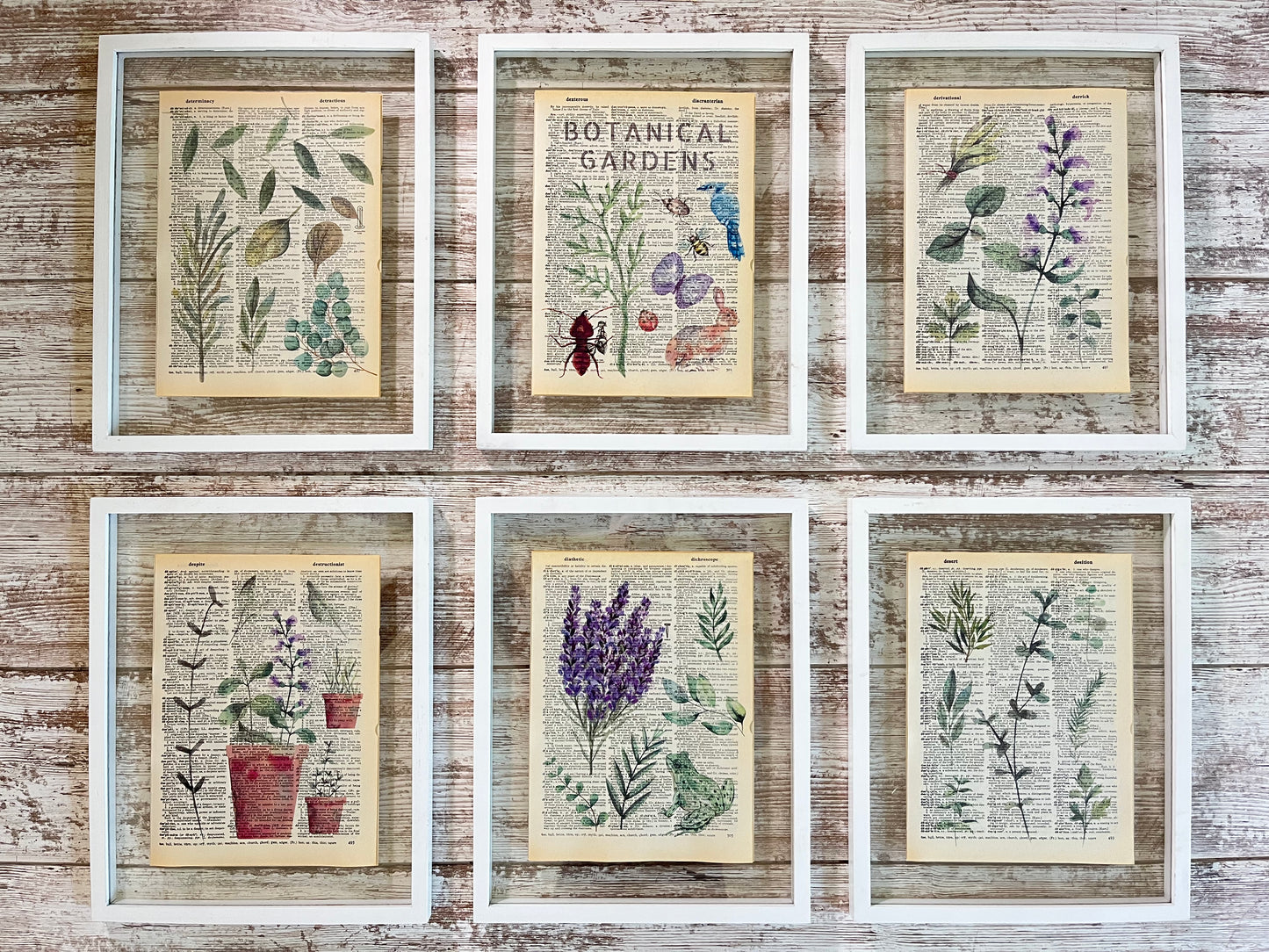 Botanical Garden Vintage Dictionary Prints, Set of 6