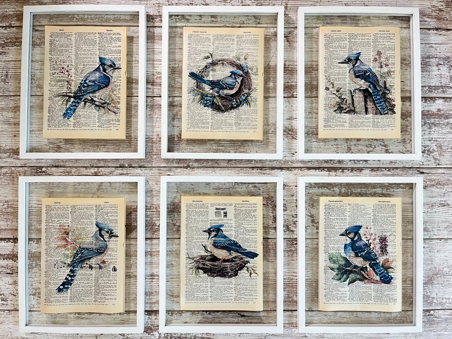 Blue Jay Vintage Dictionary Collage Prints, Set of 6