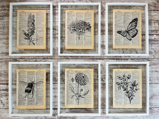 Botanical Vintage Dictionary Prints, Set of 6