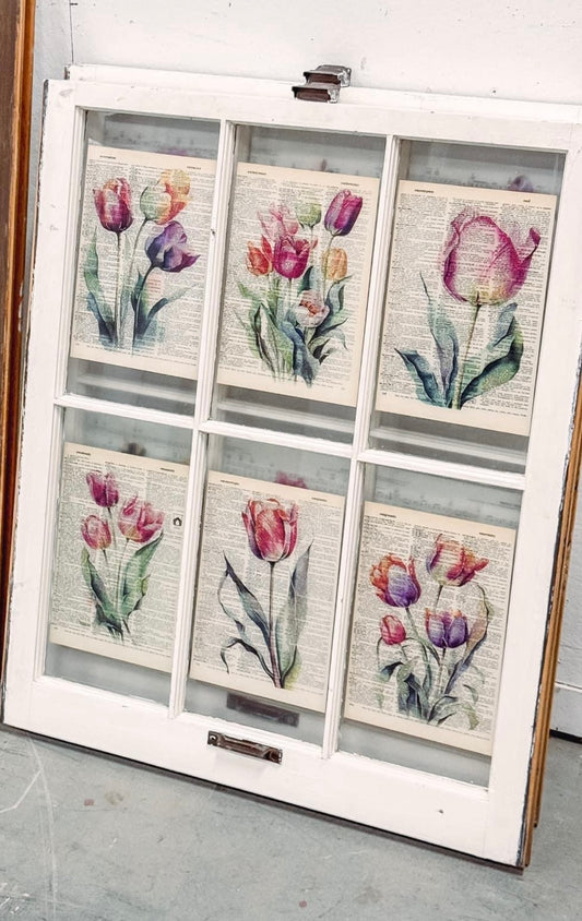 6 Pane Tulip Window