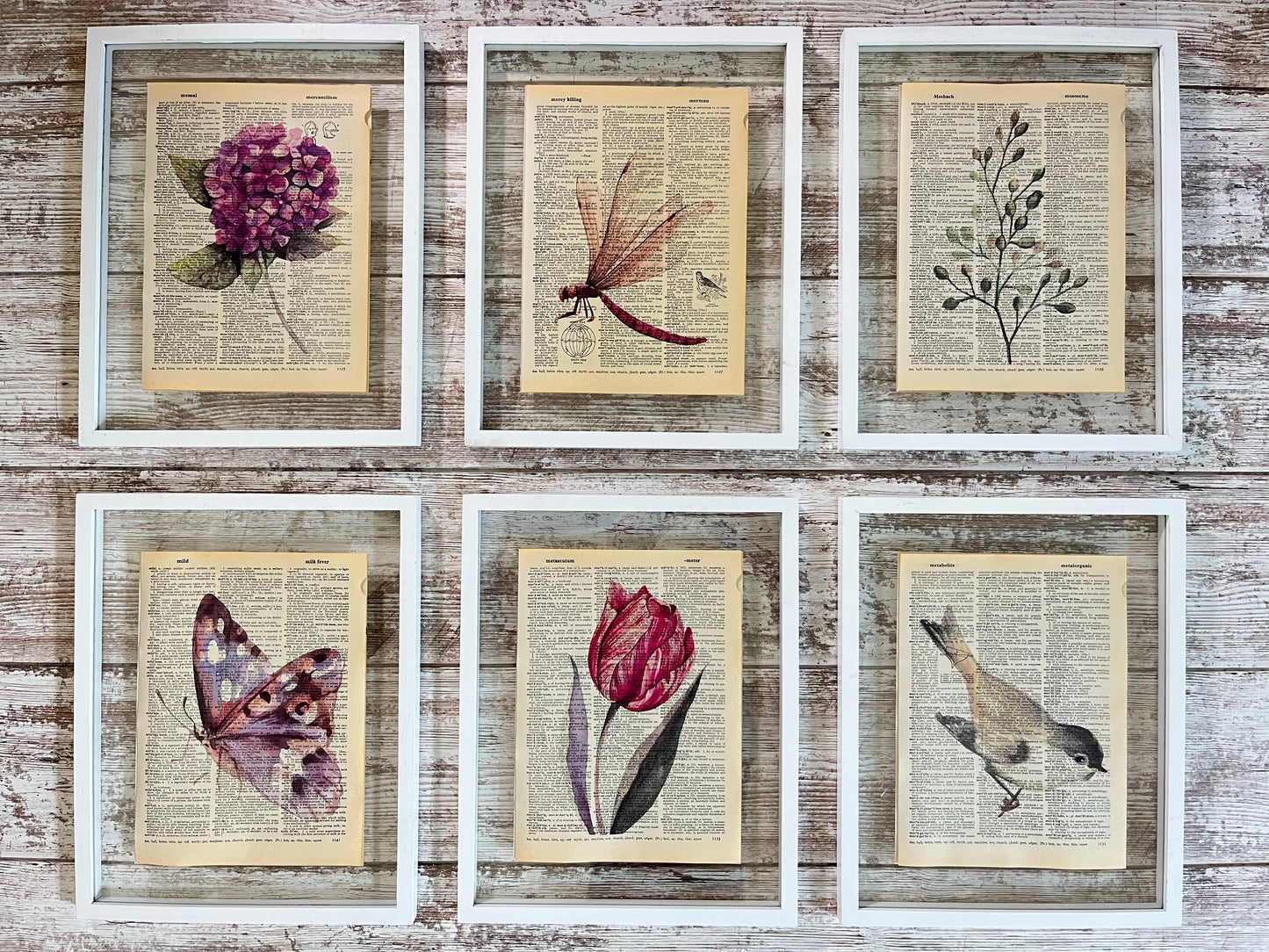 Botanical Vintage Dictionary Prints, Set of 6