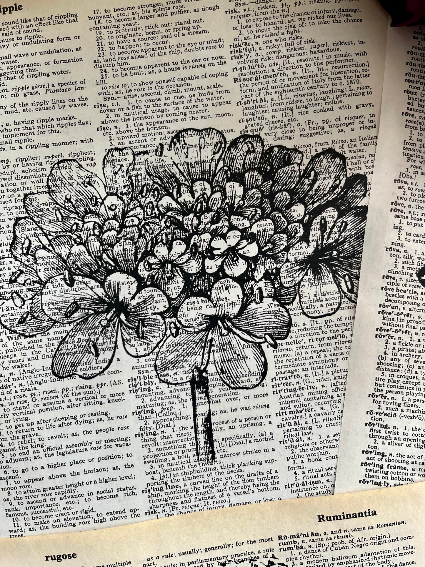 Botanical Vintage Dictionary Prints, Set of 6