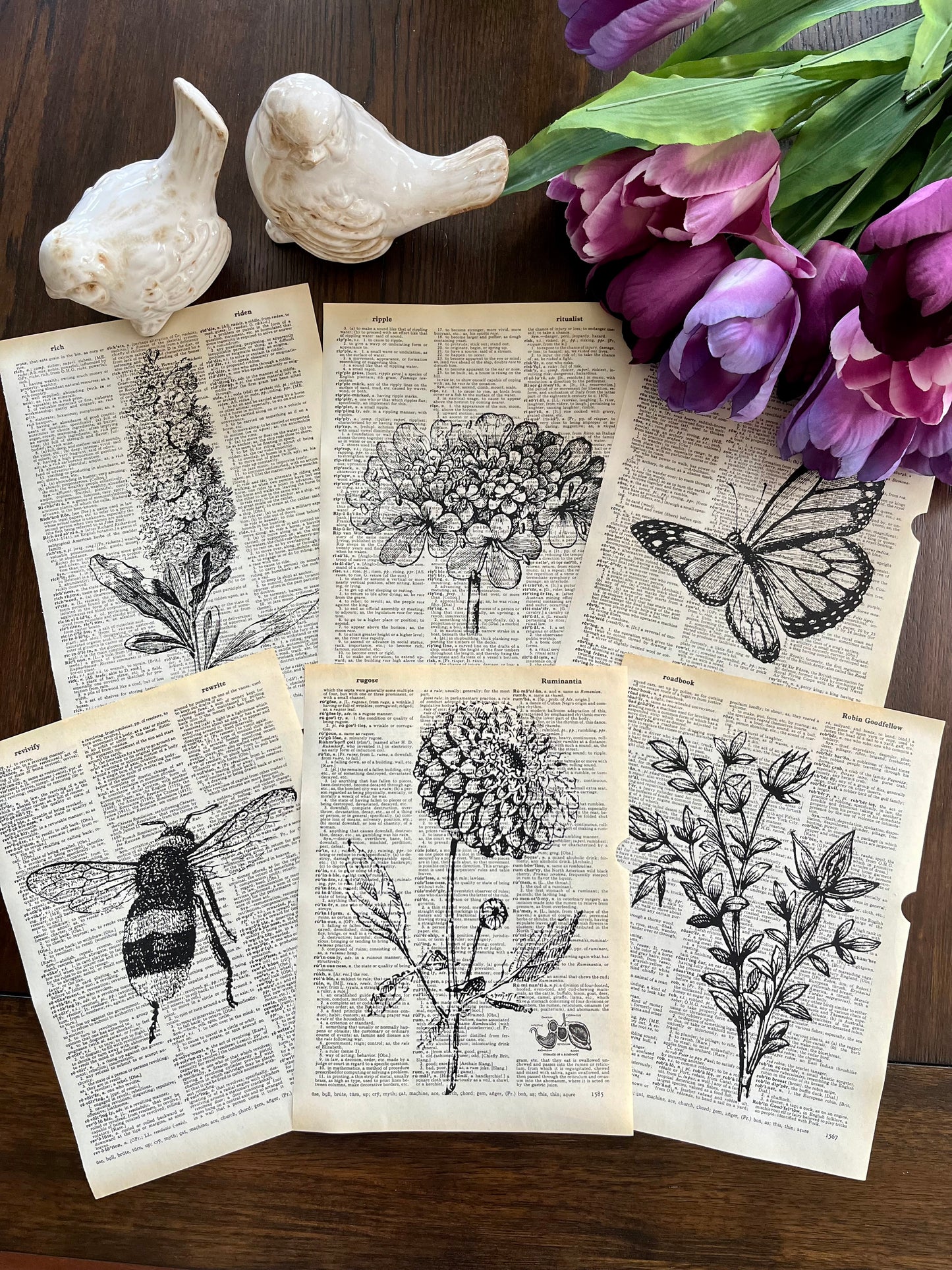 Botanical Vintage Dictionary Prints, Set of 6