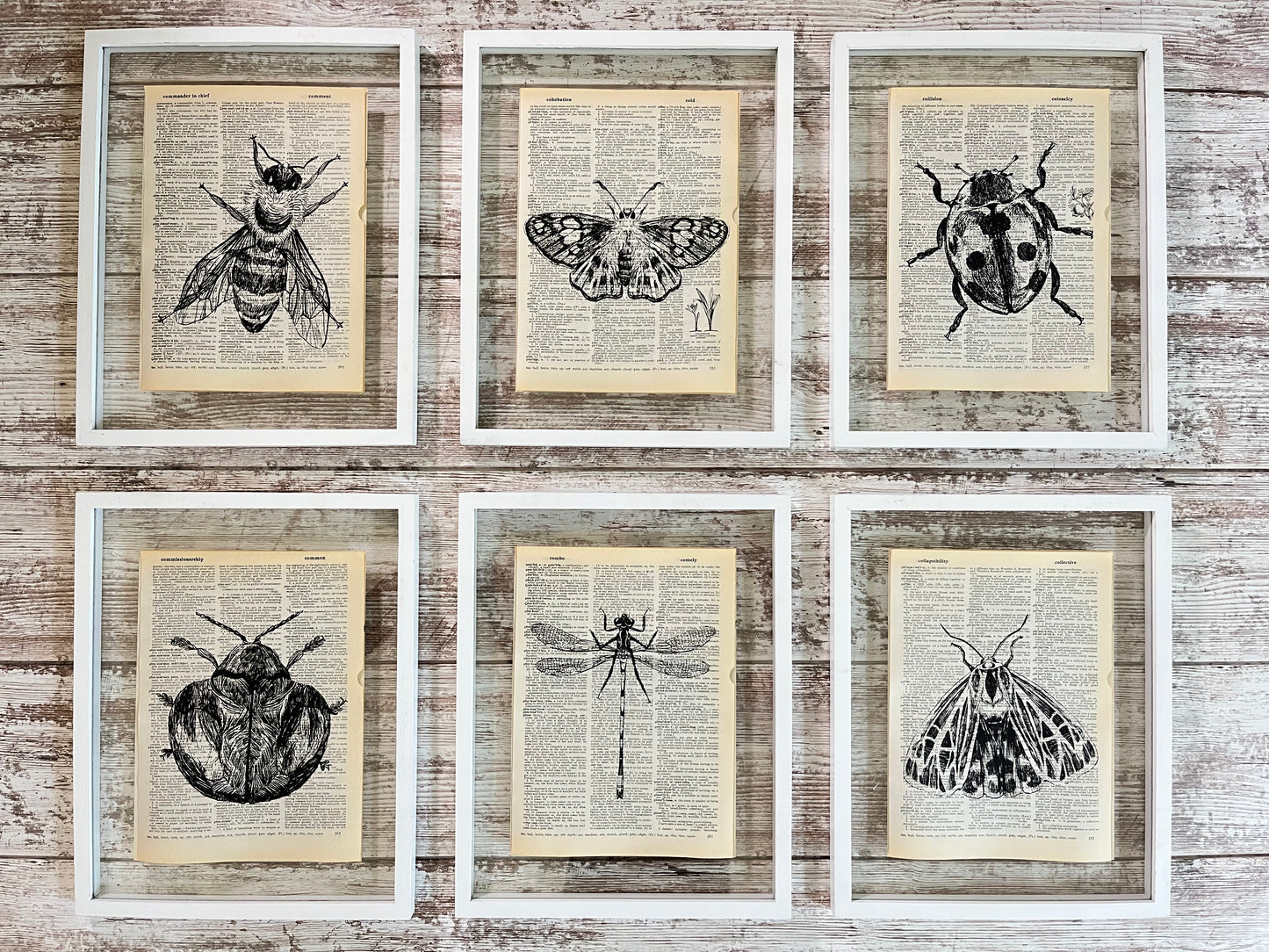 Insect Vintage Dictionary Collage Prints, Set of 6