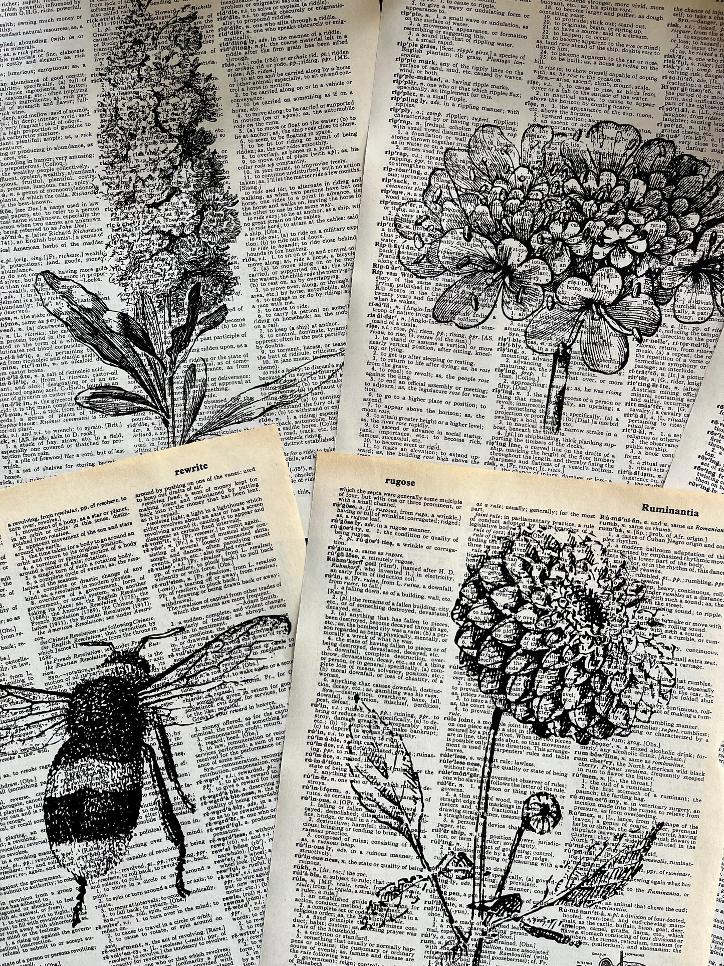 Botanical Vintage Dictionary Prints, Set of 6