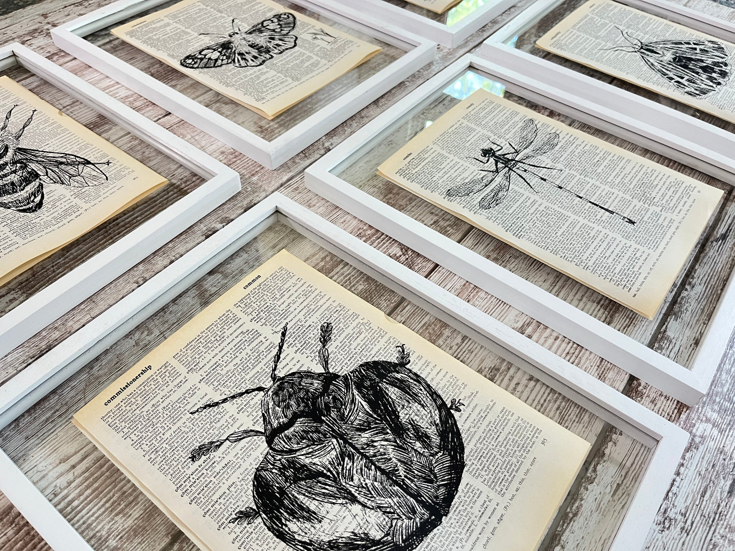 Insect Vintage Dictionary Collage Prints, Set of 6