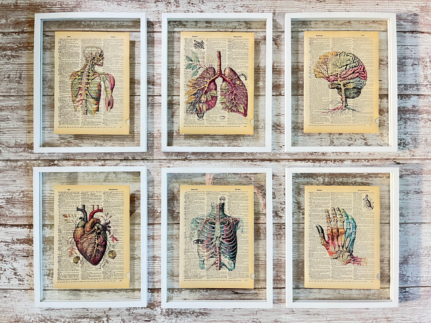 Anatomy Vintage Dictionary Collage Prints, Set of 6