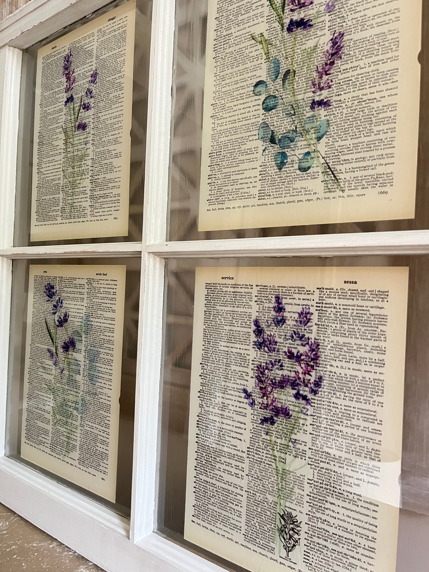 Lavender Eucalyptus 4 Pane White Vintage Window Pane